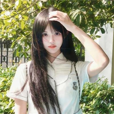 忍冬玫瑰
