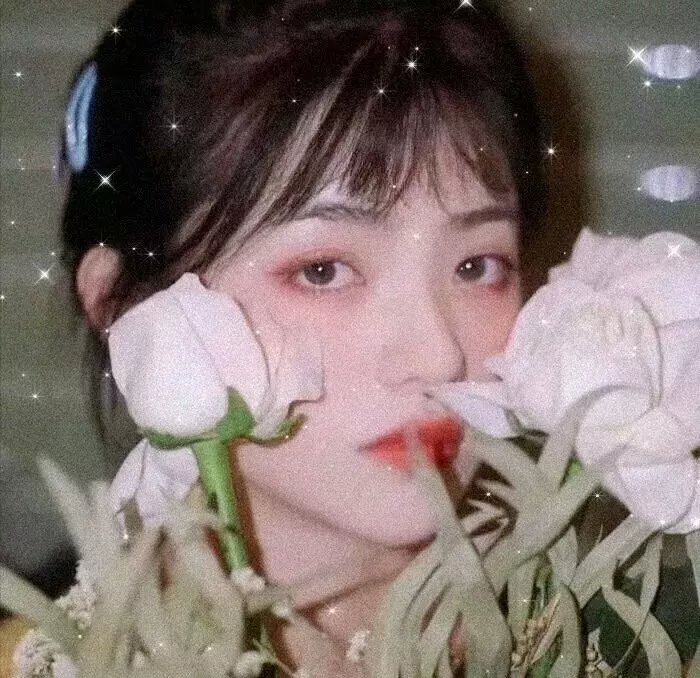 长安秘闻